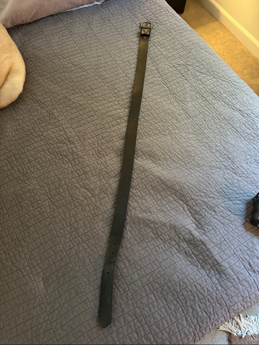 Black Leather Belt on Blue Quilt Bedding - Home Accent